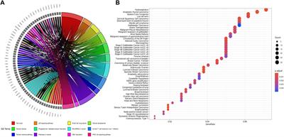 Gene co-expression network analysis revealed novel biomarkers for ovarian cancer